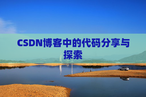 CSDN博客中的代码分享与探索